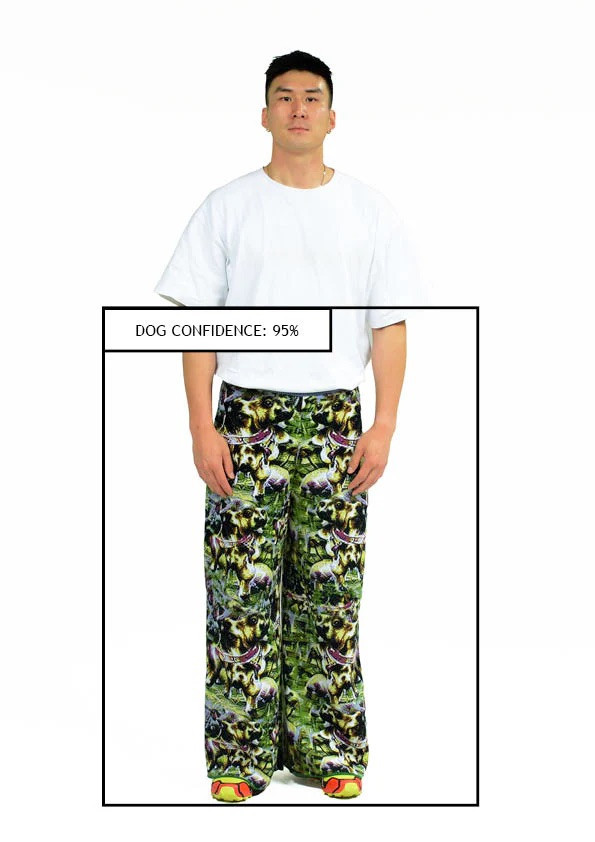 capable-design-dog-trousers.jpeg